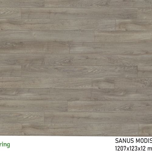 Sàn gỗ Sanus Modish SM004 12mm