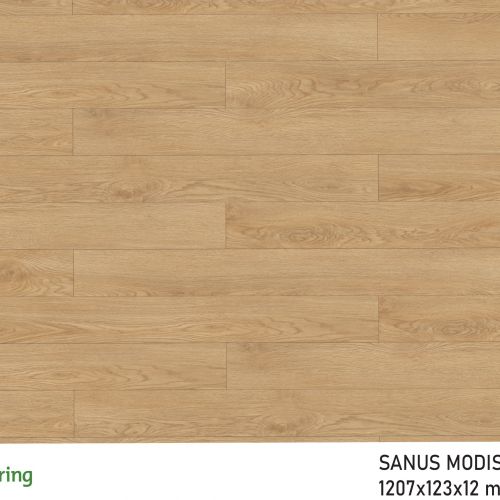 Sàn gỗ Sanus Modish SM005 12mm