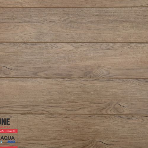 Sàn Gỗ Fortune 12mm Aqua 900