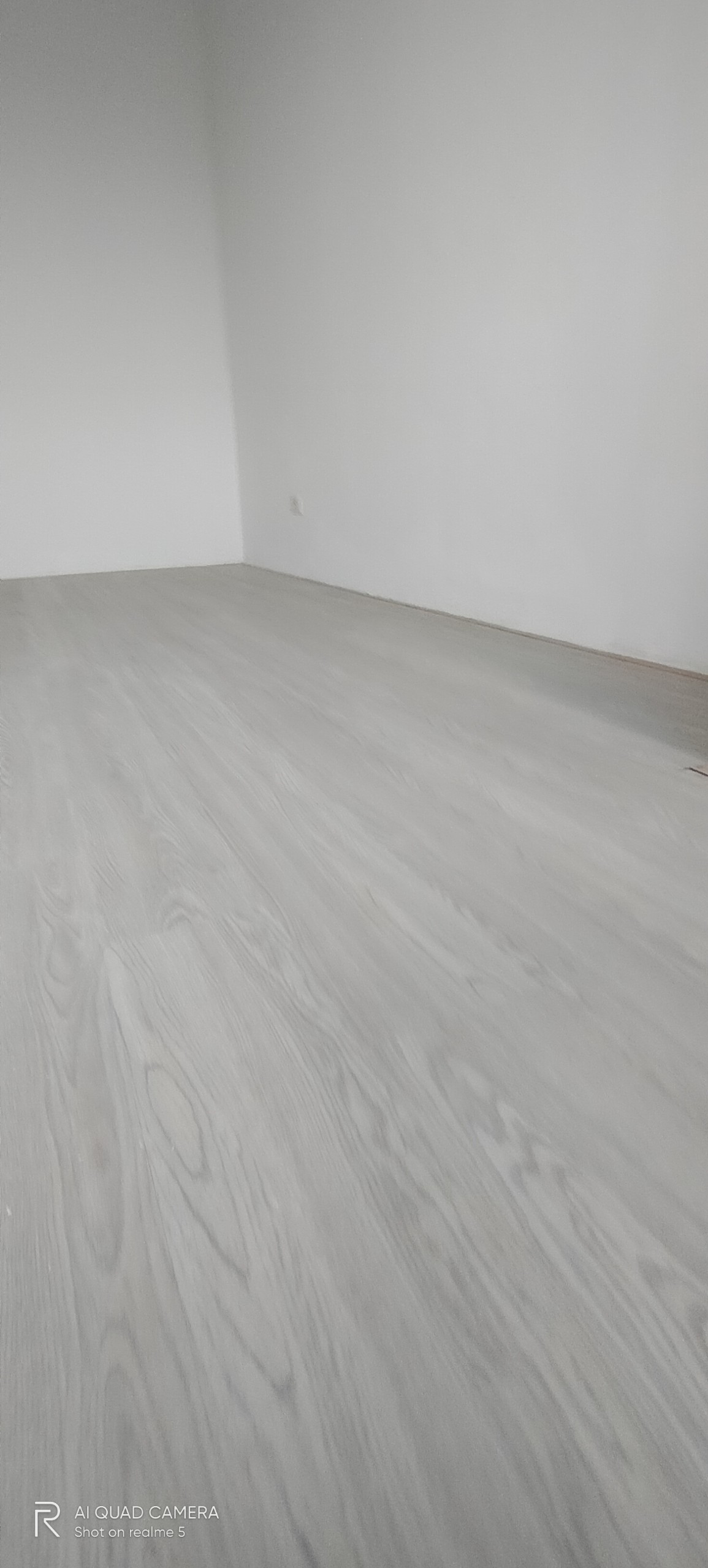 z2456350175879_a446fc824bc73793725bc27d9eac02fd